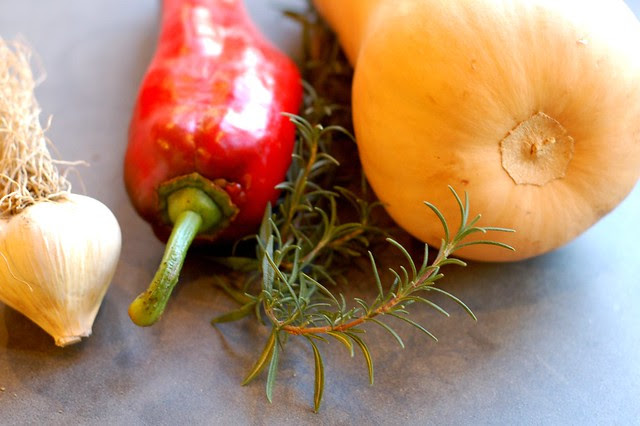 Butternut, red pepper, rosemary and garlic by Eve Fox, Garden of Eating blog, copyright 2011