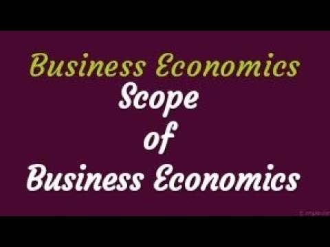 What is business economics? Discuss Scope of business 
