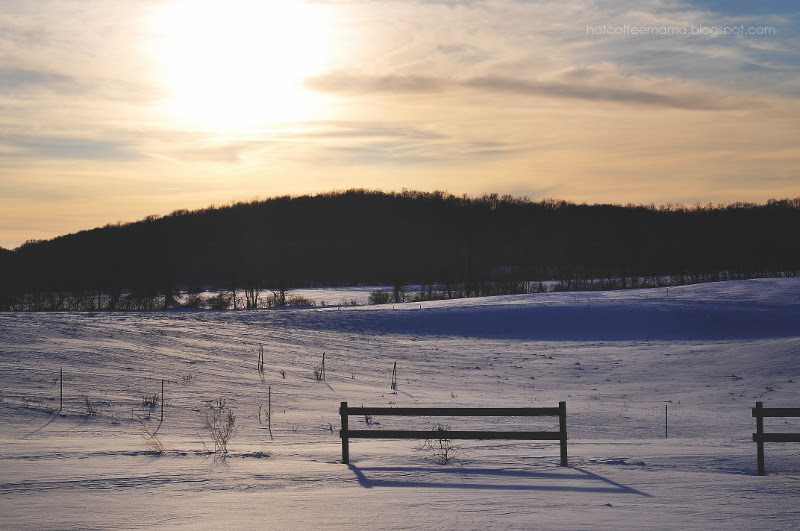 DSC_0858re (800x531)