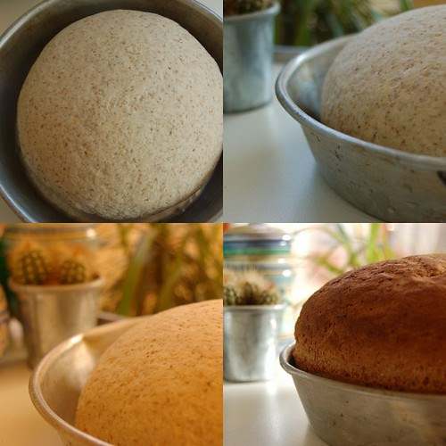 pane