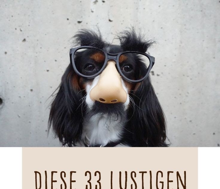 Humor Totlachen Bilder Zum Lachen Lustige Sprüche Whatsapp Status Bilder Lustig Janhbsf