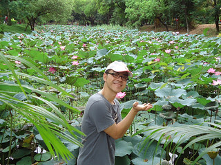 台南公園賞荷/無限台南