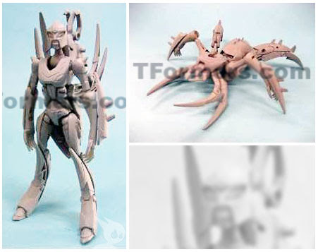 BLACK_ARACHNIA