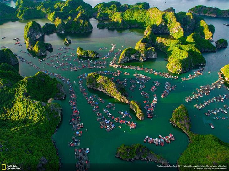 as melhores fotos de 2017 da national geographic