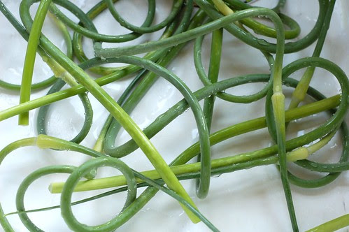 A mess of garlic scapes by Eve Fox, Garden of Eating blog, copyright 2012
