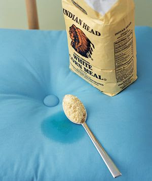 Add this to the grocery shopping list for new reasons. Cornmeal absorbs grease on light colored fabric or upholstery. Pour enough on to cover the soiled area and let sit for 15 to 30 minutes. Vacuum to remove the grains.