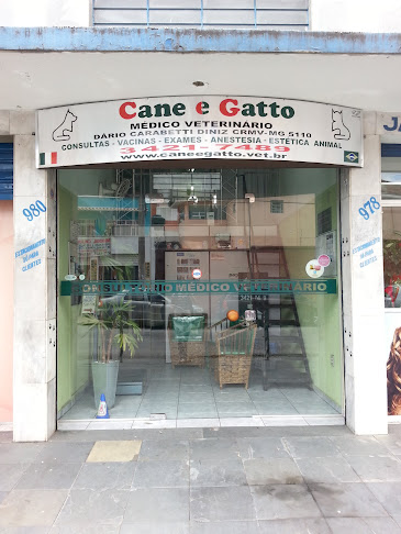 Cane e Gatto - Belo Horizonte
