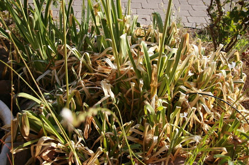 A week of hot weather