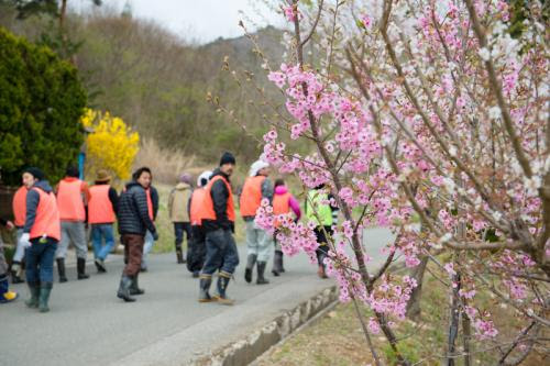 20130428-DSC_8019.jpg