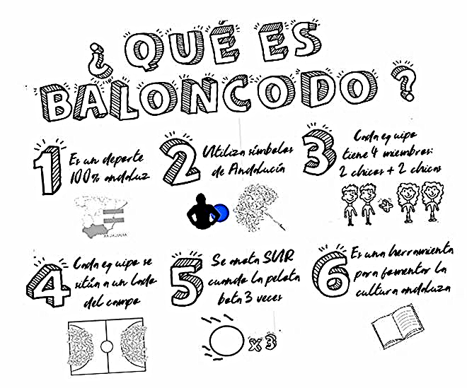 ¿Qué es baloncodo? ¿Qué es baloncodo?