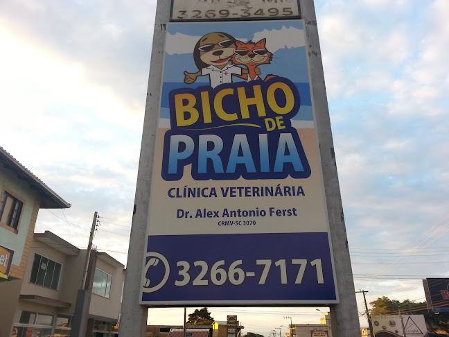 Bicho de Praia - Veterinário