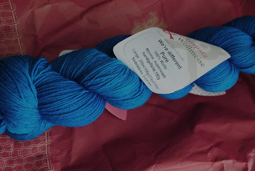 WollemeiseWSSemiSolidBlau (2)
