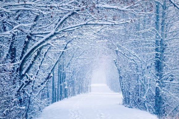 却下する 苦 発行 冬 景色 写真 アピール ハイランド フィードバック