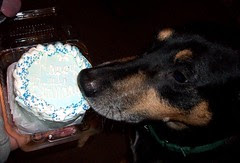 Tut_7bday_102510f