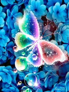 Разноцветная бабочка с цветами