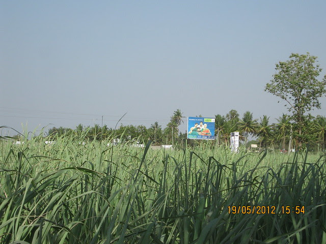 Kanchan Vrundavan from the road to Dreams Nivara & Prayagdham - Visit Kanchan Vrundavan, 1 BHK & 2 BHK Flats at Koregaon Mul, near Uruli Kanchan Pune 412202