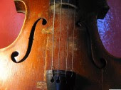 Violin fragment, Strings, 2