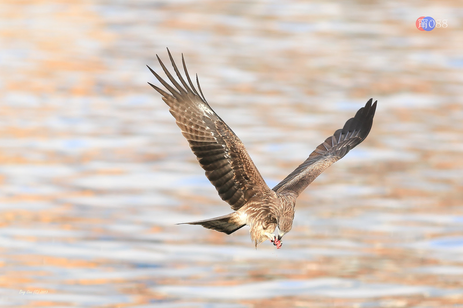 WATER_BING6655_LR