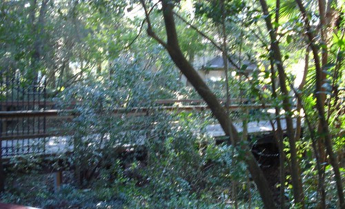 The image “http://farm3.static.flickr.com/2263/2034596515_0cb28f9f28.jpg?v=0” cannot be displayed, because it contains errors.
