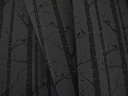 birch in charcoal
