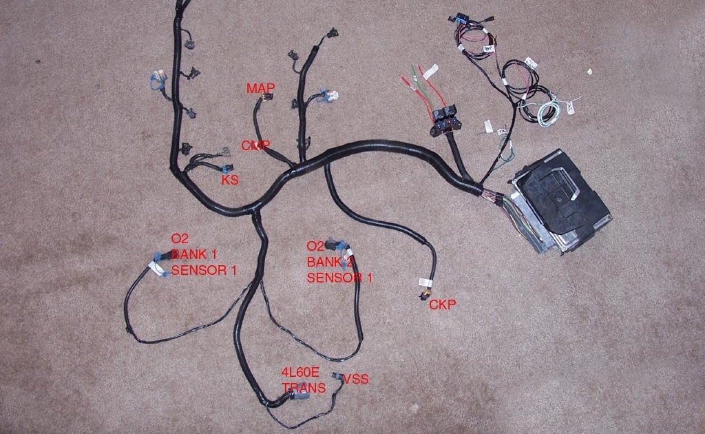 Chevy Ls1 Wiring Harnes - Wiring Diagrams