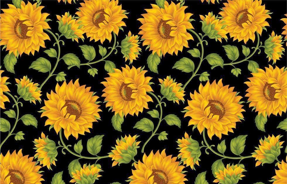All Black Sunflower Wallpaper / Sunflowers Sunflower Yellow Flower ...