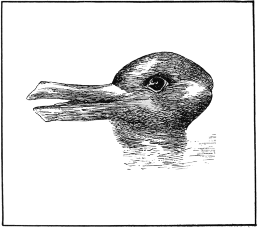 PSM V54 D328 Optical illusion of a duck or a rabbit head
