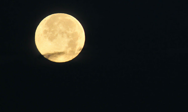 After dropping The Lizard off at the start line on Day 1, I typically shoot the sunrise from Lookout Mountain before trying to meet up with him in Idaho Springs to collect his winter gear and his lights. This year, I had a super moon setting opposite the sunrise, and this was shot number 99800 on my 2008 Nikon D300! Just 200 more shots to reach the 100,000 mark! After dropping The Lizard off at the start line on Day 1, I typically shoot the sunrise from Lookout Mountain before trying to meet up with him in Idaho Springs to collect his winter gear and his lights. This year, I had a super moon setting opposite the sunrise, and this was shot number 99800 on my 2008 Nikon D300! Just 200 more shots to reach the 100,000 mark!