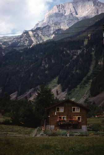 alp
