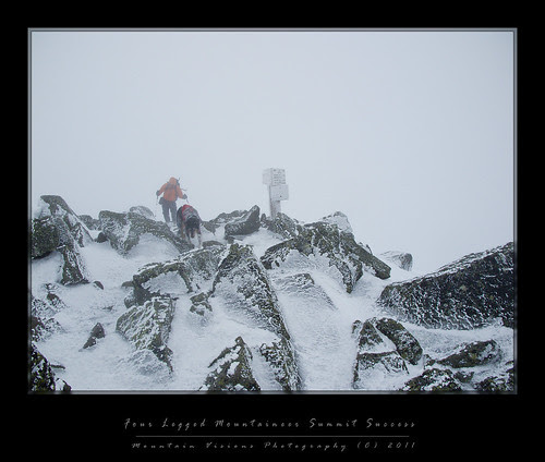 Four Paws on Adams: Winter Mountaineering in the Northern Presidential's