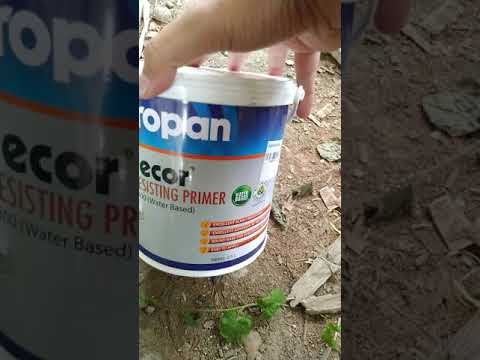 Inspiration Cat Dasar Dinding Alkali PROPAN Video harga Inspiration Cat Dasar Dinding Alkali PROPAN Video harga