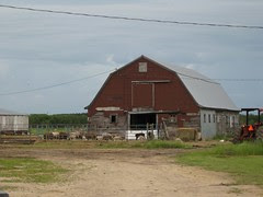 IMG_3316
