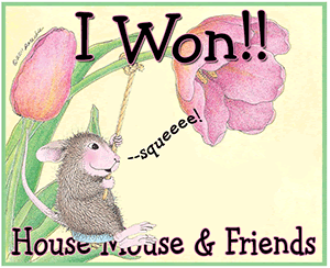I Won at House Mouse