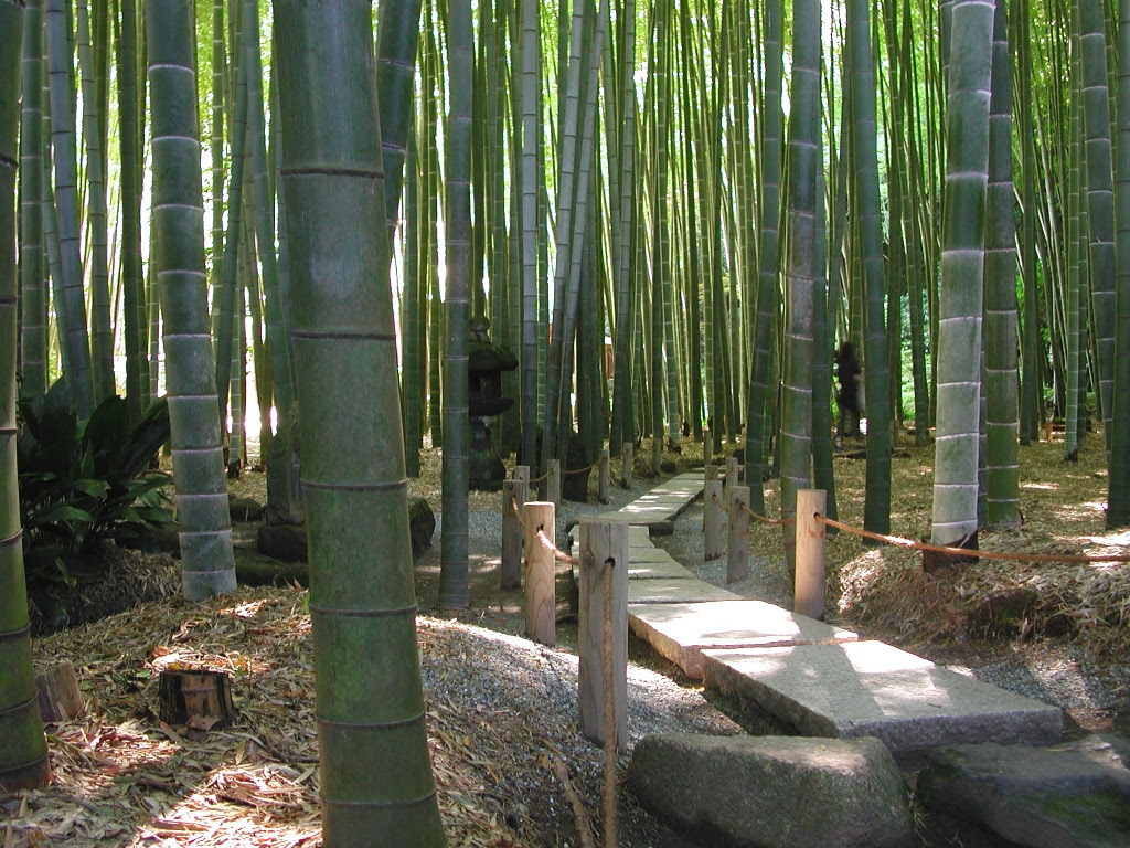 Get Places To Visit In Yokosuka Japan Images
