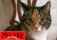 にほんブログ村 外国語ブログ ドイツ語へ