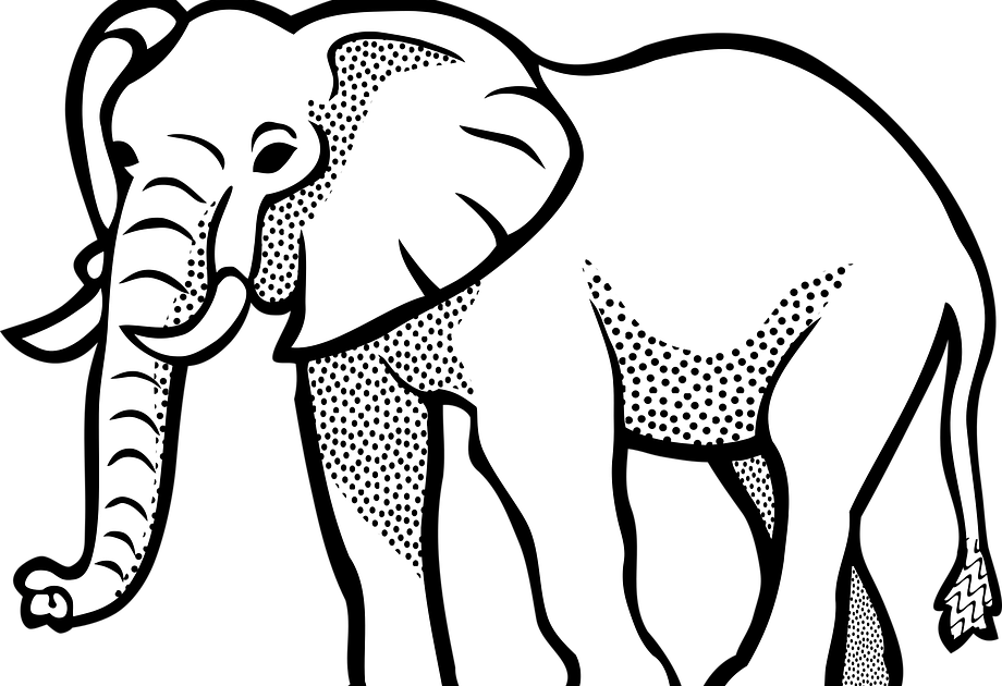 19+ Foto Gambar Kartun Gajah - Gambar Kartun Ku