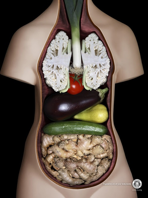 International Vegetarian Union