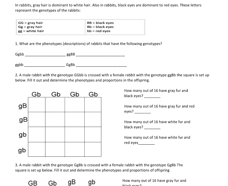 Bestseller: Chapter 10 Dihybrid Cross Worksheet Answer Key Pdf