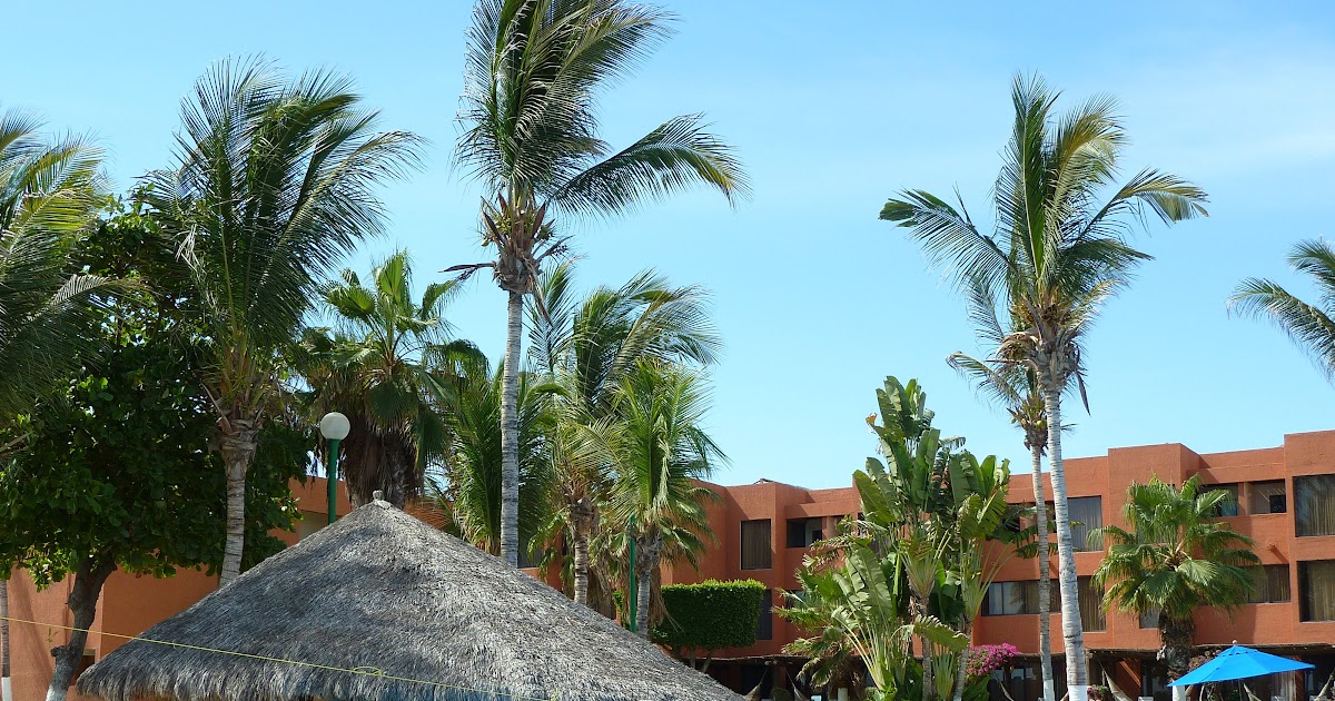 Cabo Car Rental Reviews FERQEI