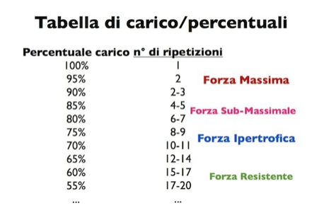 Personal Trainer Bologna - Sviluppo della massa muscolare e basi dell’ipertrofia