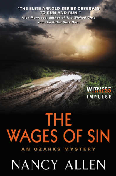 The Wages of Sin by Nancy Allen
