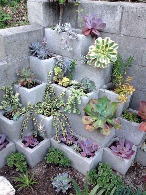 Anyone Can Backyard Projects For This Year (24)