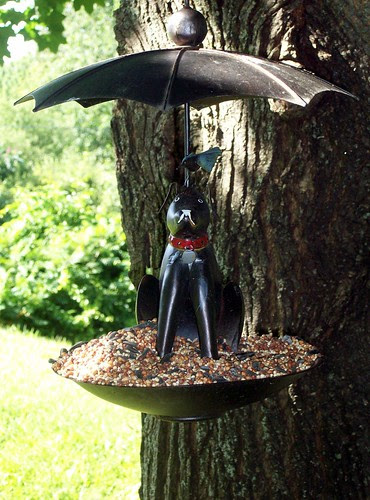 BirdFeeder_71209