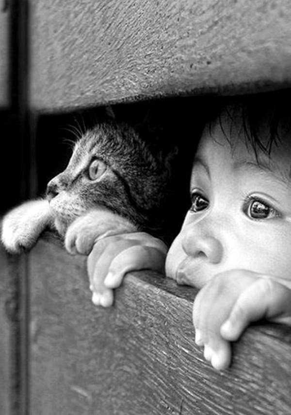 Joyful Simple Things In Life Photography Ideas (26)