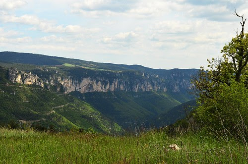 Towards Causse Mejean