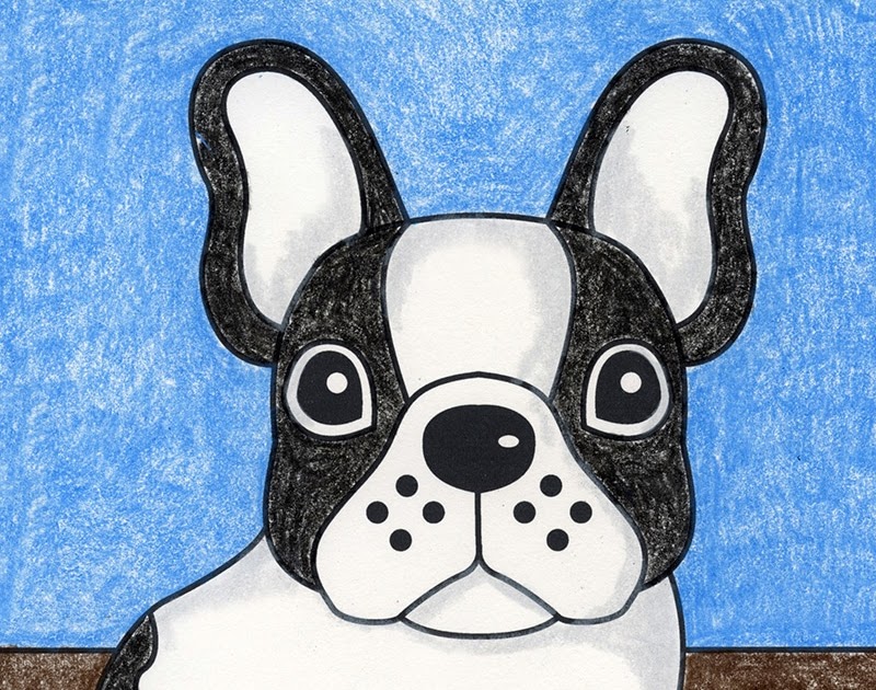  How To Draw A Frenchie  The ultimate guide 
