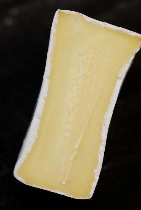 king island dairy double brie© by Haalo