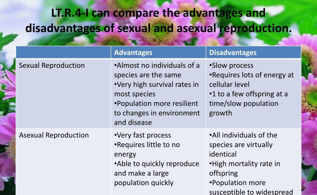 Disadvantages Of Asexual Reproduction What Is An Advantage Of Asexual