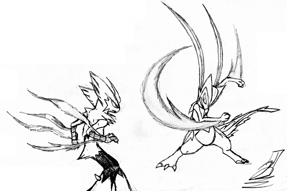 Pokemon Hd Pokemon Mega Blaziken Vs Mega Sceptile