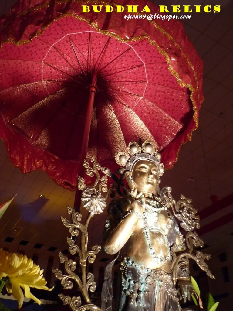 holy light from tibet 雪域之光